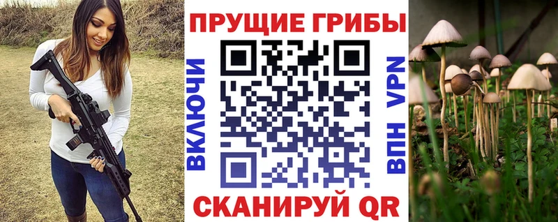 hydra зеркало  Зея  Галлюциногенные грибы Psilocybine cubensis 