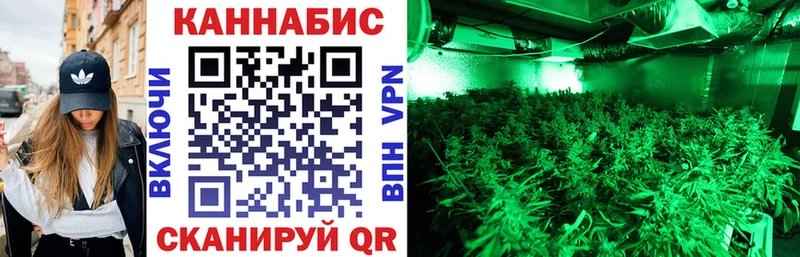 Бошки Шишки гибрид  мориарти Telegram  Зея  кракен зеркало 